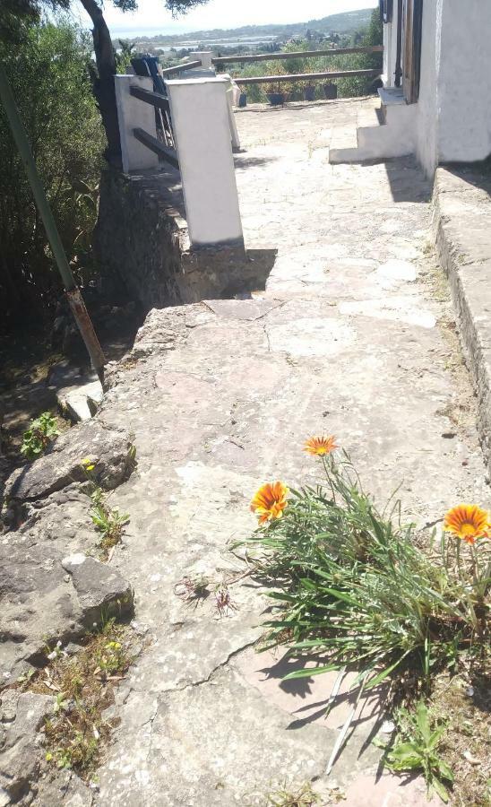Willa Ca Da Marta Q4526 Carloforte  Zewnętrze zdjęcie